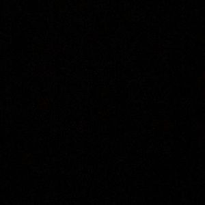 Meet your Posher, Wesley